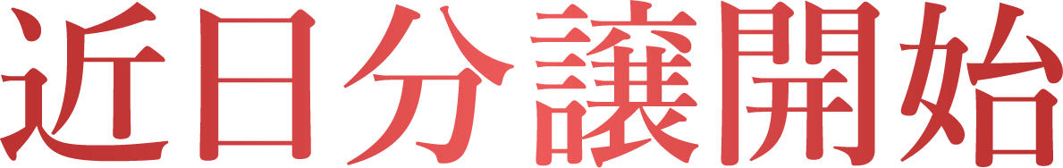 近日分譲開始